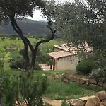 Alén D'aragón *