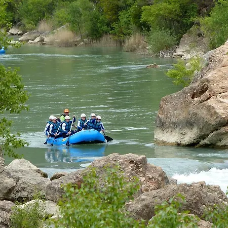 Alén D'aragón *