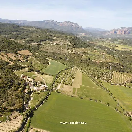 Alen D'aragon