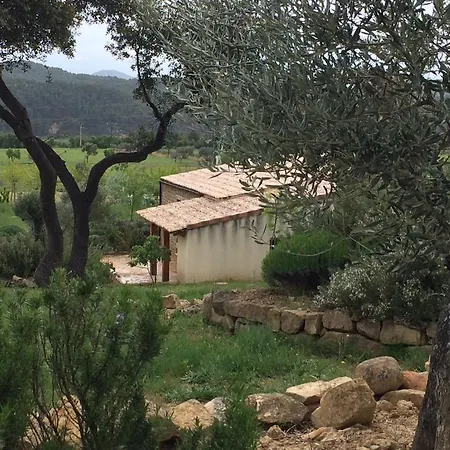 Летний дом Alen D'aragon *