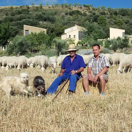 Летний дом Alen D'aragon