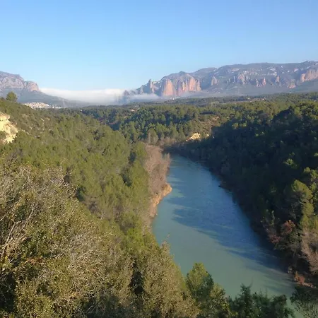 Alen D'aragon *
