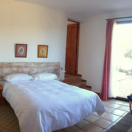 Alen D'aragon Летний дом